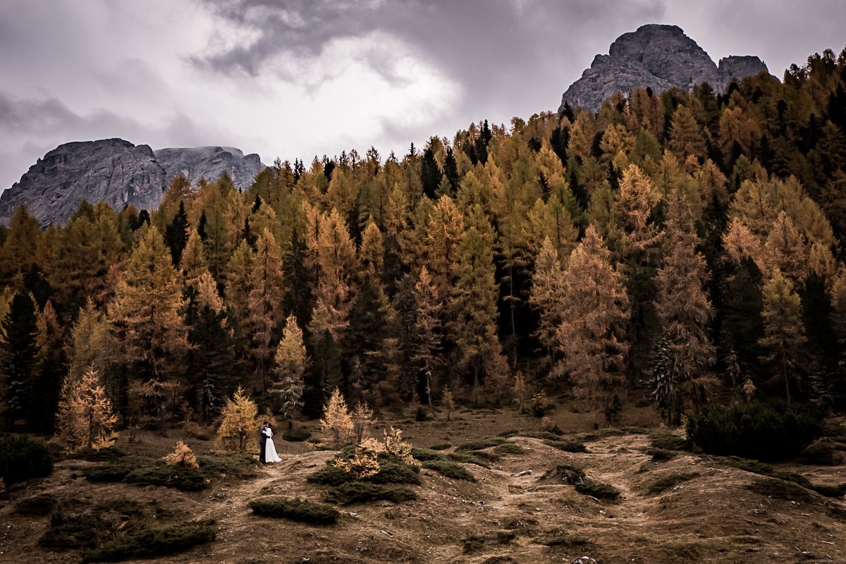 photo de couple dans une forêt d'automne