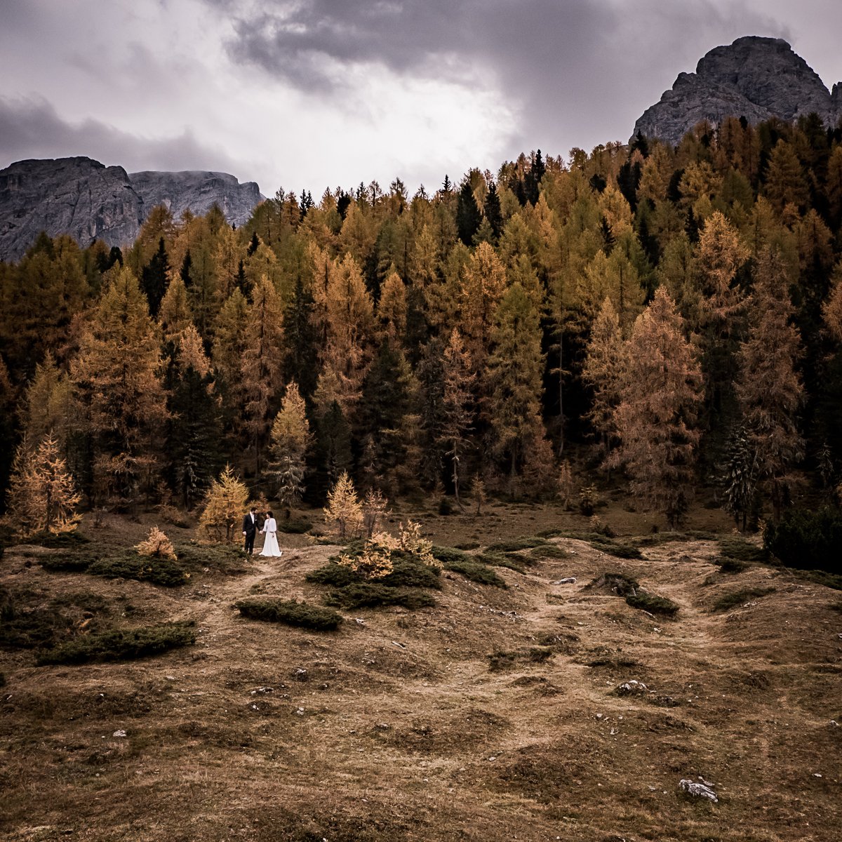 photo de couple dans une forêt d'automne