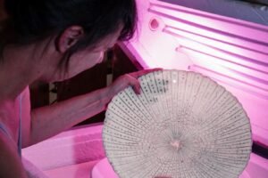 etoile_de_verre le travail d'une matière en fusion etoile_de_verre le travail d'une matière en fusion