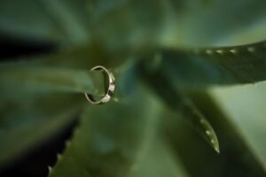 tous ces petits détails tous ces petits détails si importants