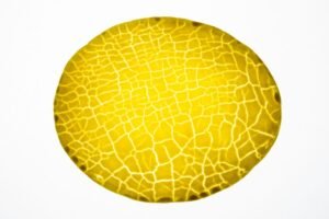 la vaisselle de etoile-de-verre la vaisselle de etoile-de-verre